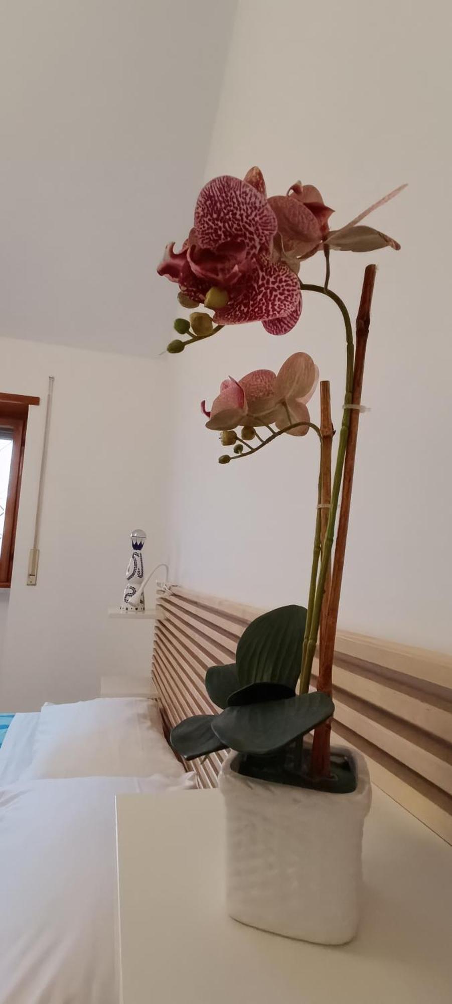 Casa Pereira Apartment